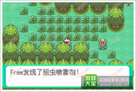 口袋妖怪漆黑的魅影隐藏物品