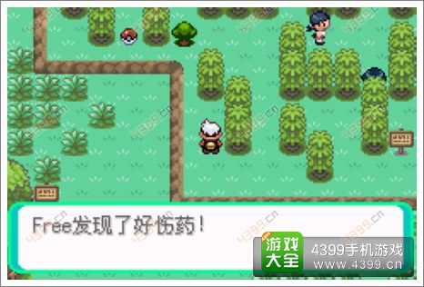 口袋妖怪漆黑的魅影隐藏物品