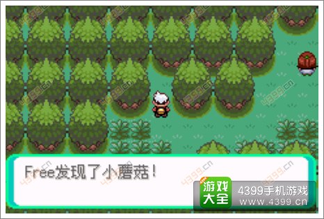 口袋妖怪漆黑的魅影隐藏物品