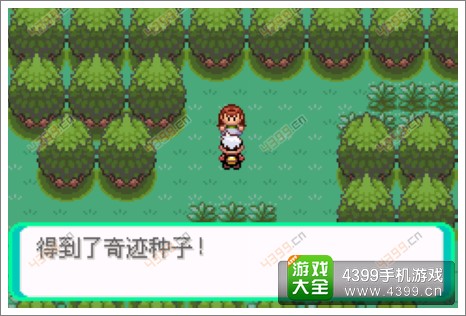口袋妖怪漆黑的魅影隐藏物品