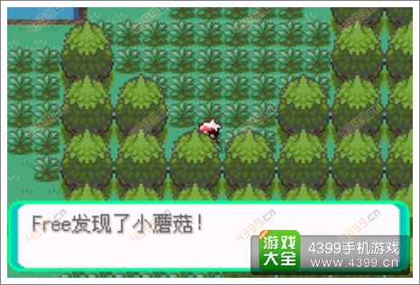 口袋妖怪漆黑的魅影隐藏物品