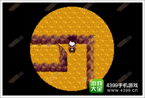 口袋妖怪漆黑的魅影隐藏物品