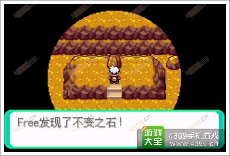 口袋妖怪漆黑的魅影隐藏物品