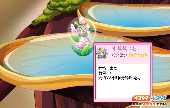 小花仙粉色水蕉蕉降临