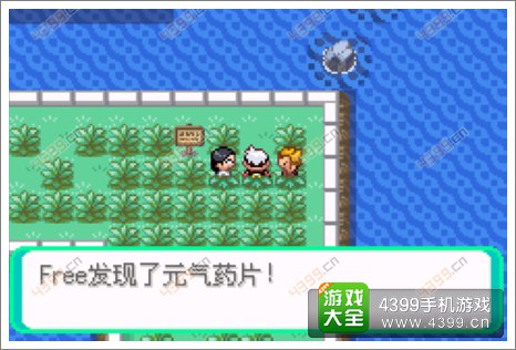 口袋妖怪漆黑的魅影隐藏物品