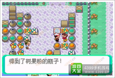 口袋妖怪漆黑的魅影隐藏物品