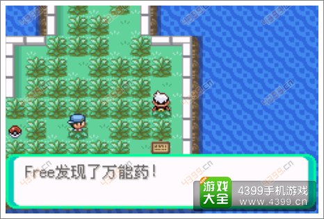 口袋妖怪漆黑的魅影隐藏物品