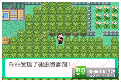 口袋妖怪漆黑的魅影隐藏物品