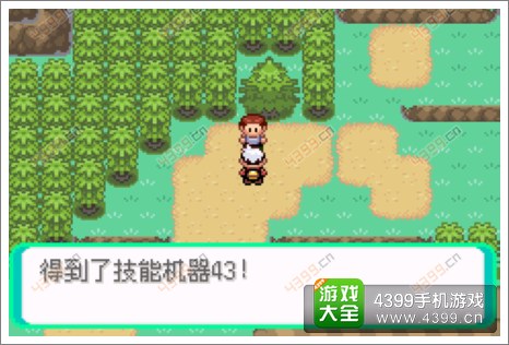 口袋妖怪漆黑的魅影隐藏物品