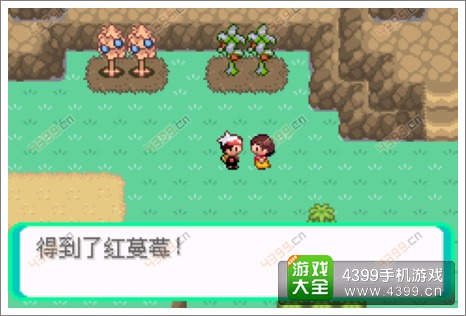 口袋妖怪漆黑的魅影隐藏物品