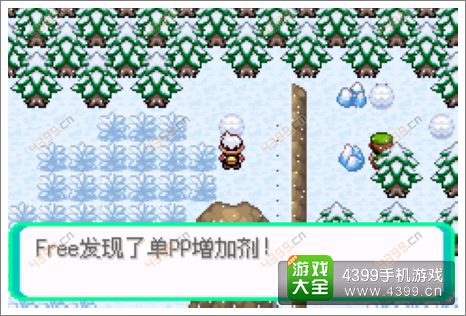 口袋妖怪漆黑的魅影隐藏物品