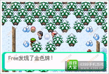 口袋妖怪漆黑的魅影隐藏物品