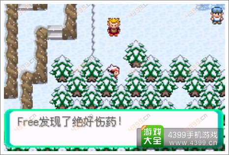 口袋妖怪漆黑的魅影隐藏物品