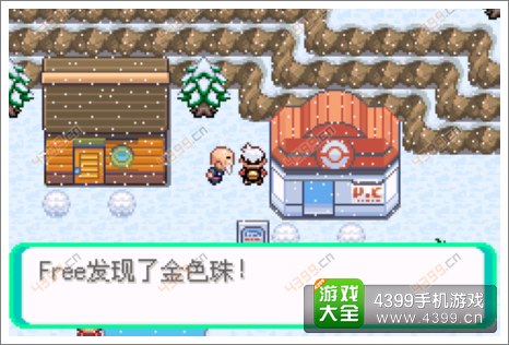 口袋妖怪漆黑的魅影隐藏物品