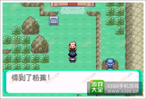口袋妖怪漆黑的魅影隐藏物品