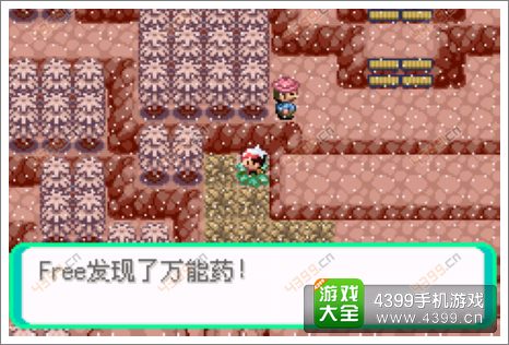 口袋妖怪漆黑的魅影隐藏物品