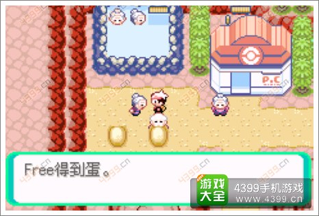 口袋妖怪漆黑的魅影隐藏物品