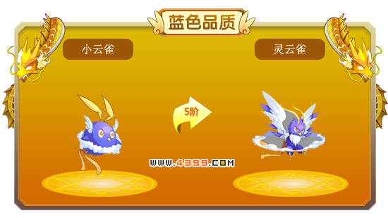 龙斗士小云雀-灵云雀进化图鉴 属性