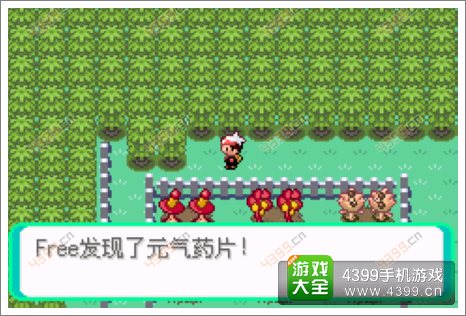 口袋妖怪漆黑的魅影隐藏物品