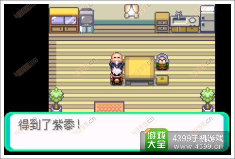 口袋妖怪漆黑的魅影隐藏物品