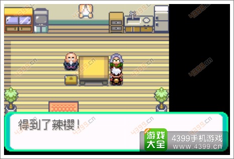 口袋妖怪漆黑的魅影隐藏物品