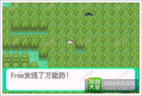 口袋妖怪漆黑的魅影隐藏物品