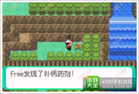 口袋妖怪漆黑的魅影隐藏物品