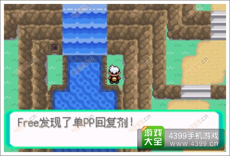 口袋妖怪漆黑的魅影隐藏物品