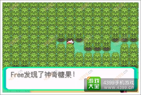 口袋妖怪漆黑的魅影隐藏物品