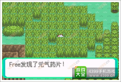 口袋妖怪漆黑的魅影隐藏物品