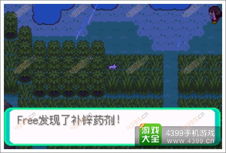 口袋妖怪漆黑的魅影隐藏物品