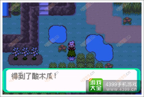 口袋妖怪漆黑的魅影隐藏物品