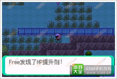 口袋妖怪漆黑的魅影隐藏物品