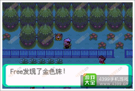 口袋妖怪漆黑的魅影隐藏物品