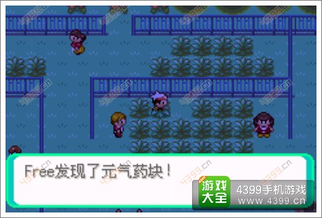 口袋妖怪漆黑的魅影隐藏物品
