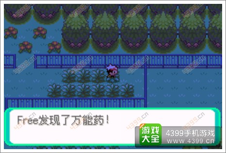 口袋妖怪漆黑的魅影隐藏物品