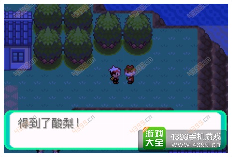 口袋妖怪漆黑的魅影隐藏物品