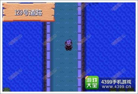 口袋妖怪漆黑的魅影隐藏物品