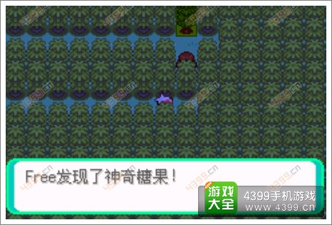 口袋妖怪漆黑的魅影隐藏物品