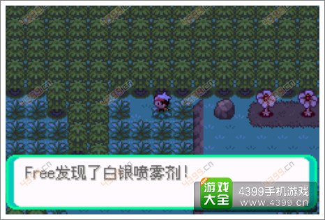 口袋妖怪漆黑的魅影隐藏物品