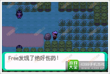 口袋妖怪漆黑的魅影隐藏物品