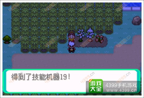 口袋妖怪漆黑的魅影隐藏物品