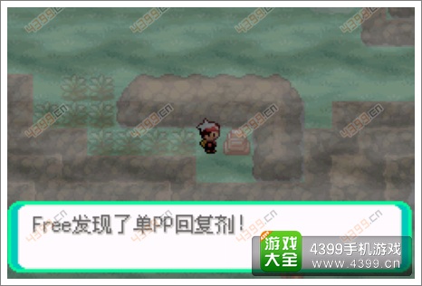 口袋妖怪漆黑的魅影隐藏物品