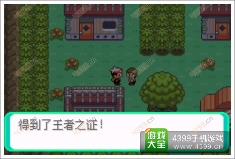 口袋妖怪漆黑的魅影隐藏物品