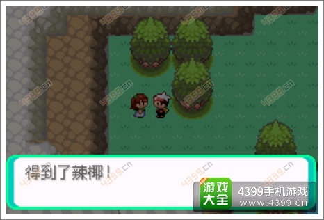 口袋妖怪漆黑的魅影隐藏物品