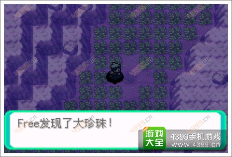 口袋妖怪漆黑的魅影隐藏