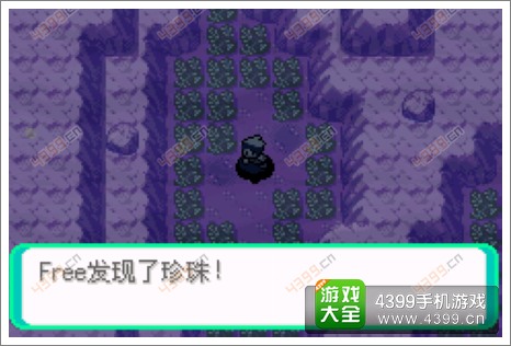 口袋妖怪漆黑的魅影隐藏物品