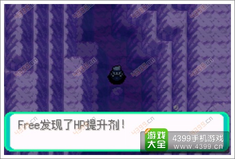 口袋妖怪漆黑的魅影隐藏物品