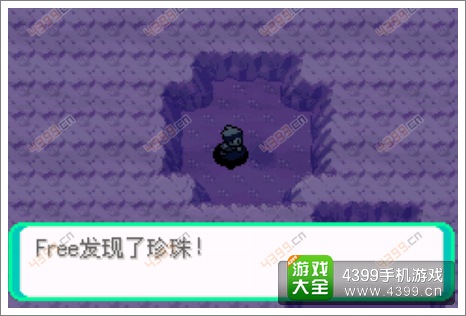 口袋妖怪漆黑的魅影隐藏物品