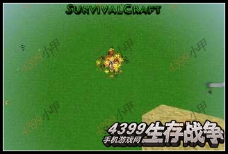 生存战争电脑版